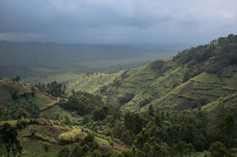 (FILES) This file photograph taken on September 28, 2019, shows fields of crops bordering Virunga National Park, in the northeast of the Democratic Republic of Congo.  At least 18 people, including 12 rangers were killed on April 24, 2020, in an attack in Virunga National Park, a UNESCO World Heritage site in the restive east of the Democratic Republic of Congo, a park spokesman said. It was one of the deadliest attacks in the park, Africa's oldest and most biologically diverse protected area.
 / AFP / ALEXIS HUGUET
