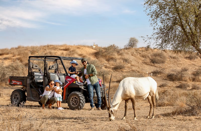 Get up close with indigenous creates on a nature walk. Photo: The Ritz-Carlton Al Wadi Desert