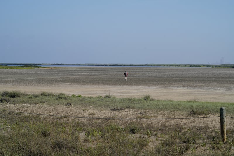 A person walks in the Boca Chica Wildlife Refuge next to Starbase. 