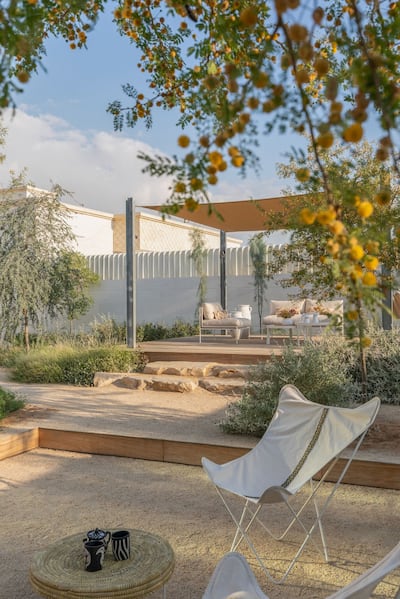 For a garden to thrive in the UAE climate, opt for native species over imports, such as the hardy acacia tree. Photo: Wilden Designs