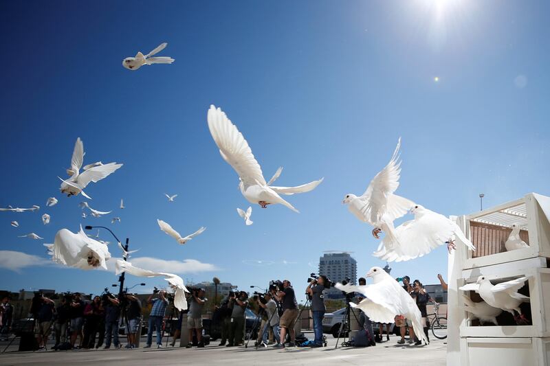Doves are released for each victim of the Route 91 Harvest music festival mass shooting at City Hall plaza in Las Vegas, Nevada, U.S., October 7, 2017. REUTERS/Chris Wattie
