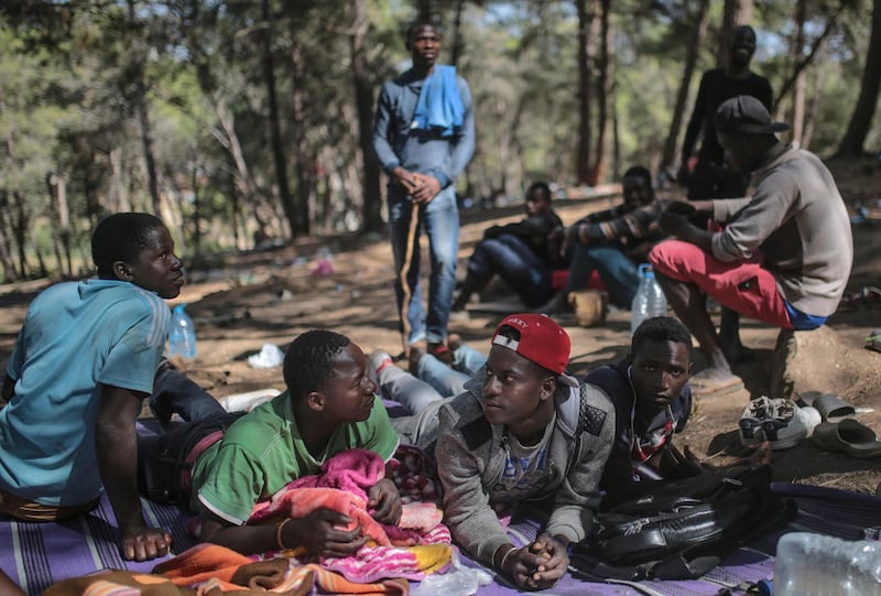 In this Wednesday, Sept. 5, 2018 photo, sub-Saharan migrants aiming to cross to Europe take shelter in a forest overlooking the neighborhood of Masnana, on the outskirts of Tangier, Morocco. Hundreds of sub-Saharan migrants escaping poverty and violence in their home countries are fleeing to forests to escape police raids in the northern Moroccan port city of Tangiers _ only to be chased from their makeshift camps. (AP Photo/Mosa'ab Elshamy)