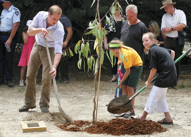 MELBOURNE, AUSTRALIA - JANUARY 21:  HRH Prince William helps plant a tree at the Flowerdale temporary village as he visits people affected by the 2009 bushfires on the third and final day of his unofficial visit to Australia on January 21, 2010 in Melbourne, Australia. HRH undertook numerous engagements during his 3 day Official visit to New Zealand, before arriving for a further 3 days in Australia 2 days ago. This is the second visit by the second-in-line to the throne, having been here at the age of 9 months with his parents in 1983.  (Photo by Scott Barbour/Getty Images)