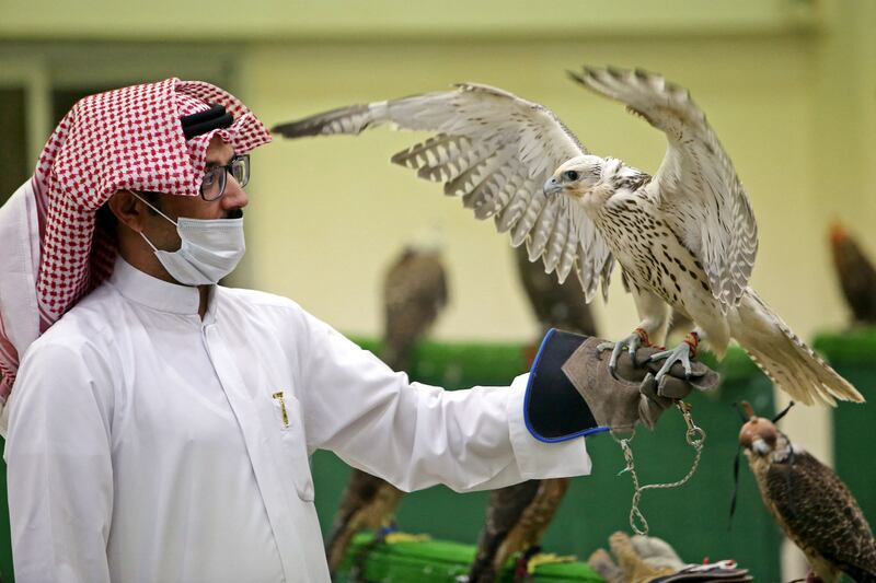 A man inspects a falcon during an auction, held for the first time since the Covid-19 outbreak, in Kuwait City. All photos: AFP