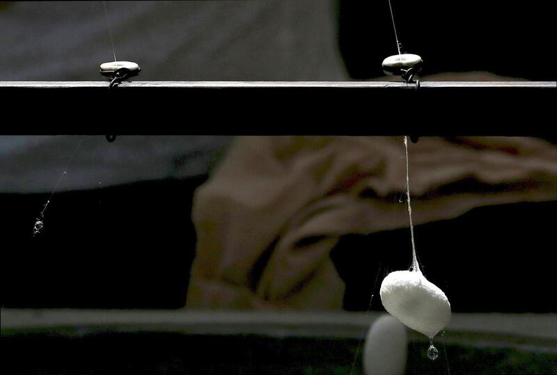 A frame spins a thread of silk from a cocoon on an antique loom. Alessandro Bianchi / Reuters