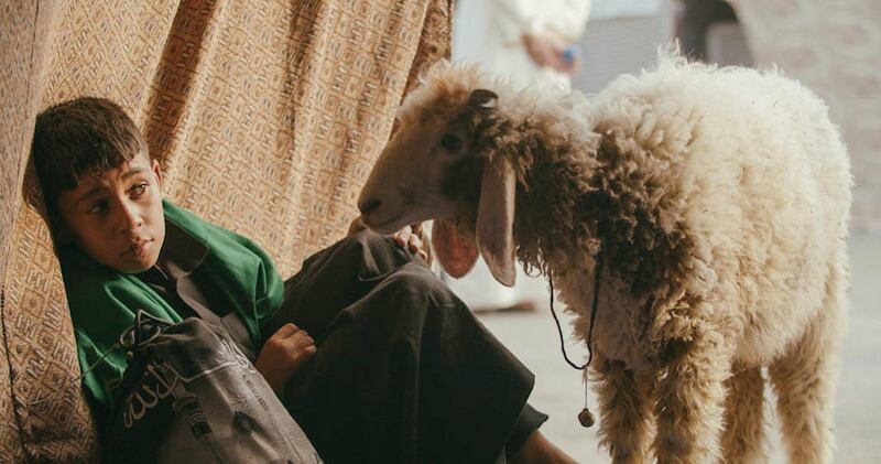 'Ali and His Miracle Sheep' follows the story of a 9-year-old mute boy who goes on a journey to sacrifice his sheep. Maythem Ridha