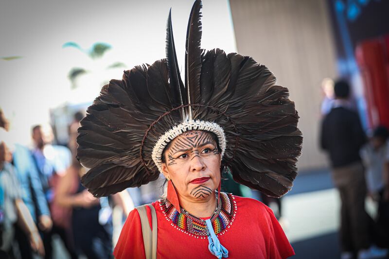 A member of the Amazon indigenous delegation attends the event. EPA