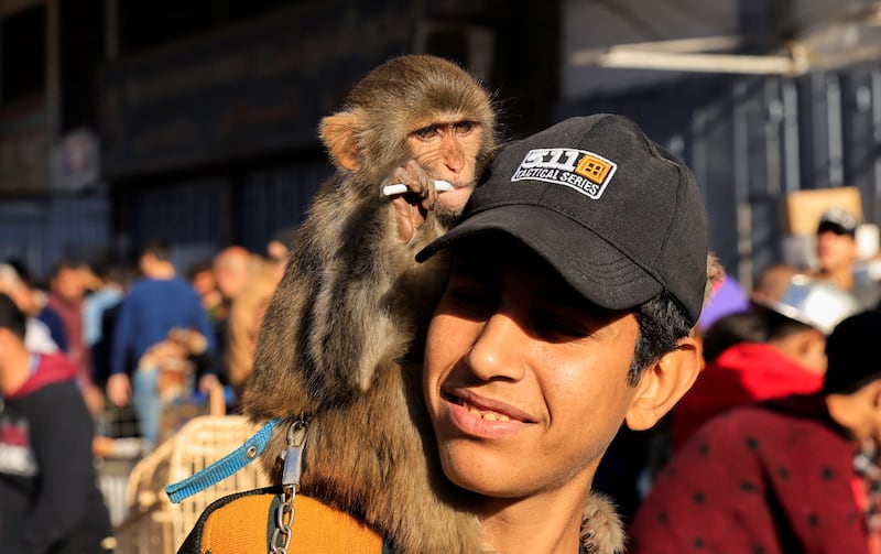 A man with a monkey on his shoulders at al-Ghazal animal market in Baghdad, Iraq December 10, 2021.  REUTERS / Thaier Al-Sudani