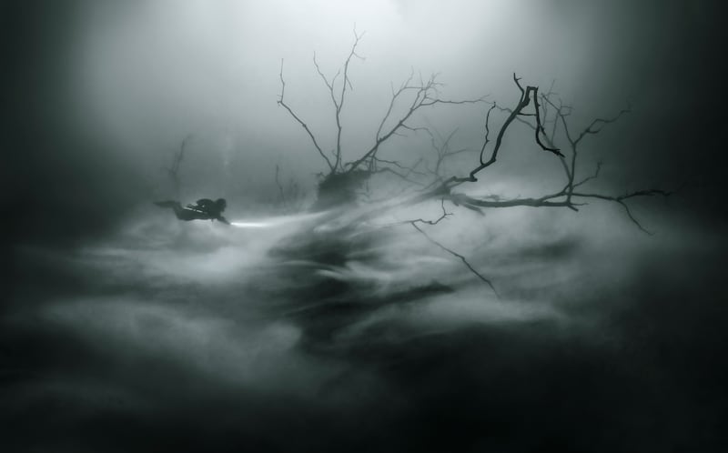 Third place, Ocean Adventure Photographer of the Year, Martin Broen, from Yucatan Peninsula, Mexico. A diver moves through an abandoned sinkhole-like cenote, like floating through a haunted forest.