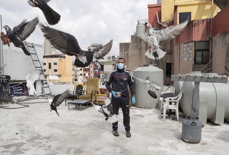 A pigeon owner watches his pigeons fly on the rooftop of his building in a southern suburb of Beirut, Lebanon.  AFP