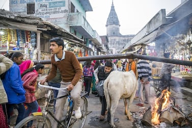 Tax cuts for middle-class workers and cash handouts for farmers re part of India's budget. Bloomberg