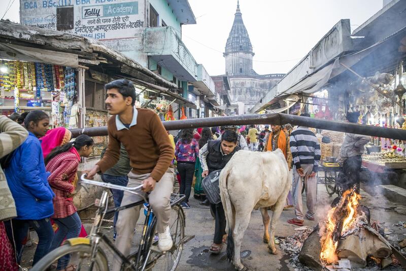 People walk and cycle past a cow, fire and a fallen pole in a market in in Ayodhya, Uttar Pradesh, India, on Friday, Jan. 18, 2019. The holy city of Ayodhya is at the center of India's most polarizing dispute. It's here, at the supposed birthplace of the Hindu god Ram, that Hindu radicals demolished a 16th century mosque in 1992, sparking religious riots that killed some 2,000 people. And it’s here that Prime Minister Narendra Modi's Hindu nationalist party is betting that religious nationalism—including ramping up efforts to build the Ram temple can shore up its vote in elections due by May. Photographer: Prashanth Vishwanathan/Bloomberg