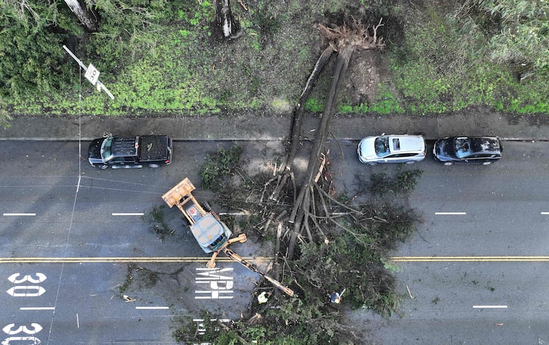 The San Francisco Department of Public Works removes a tree that fell on Fulton Street after a storm passed through the area. Getty / AFP