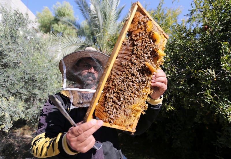 More than 15 years of Israeli blockade have not quite killed off beekeeping in Gaza. But beekeepers say climate change just might