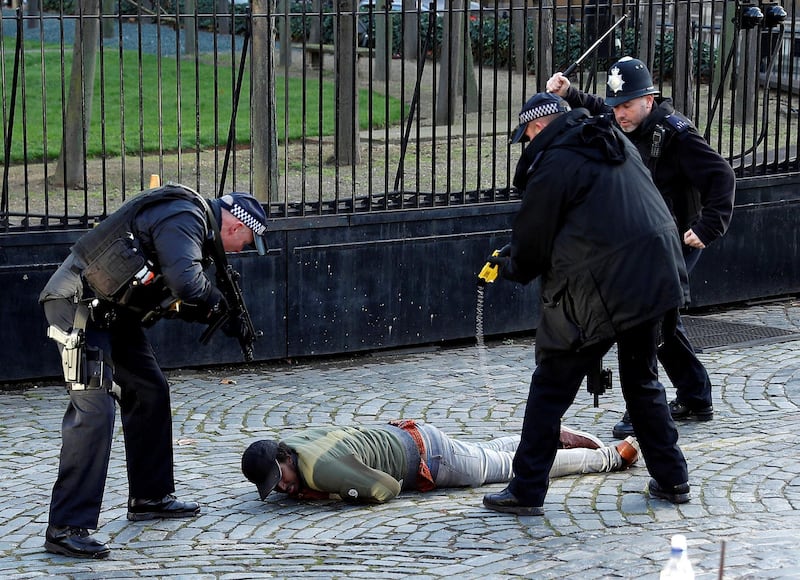 Police taser a man inside the grounds of the Houses of Parliament. Reuters