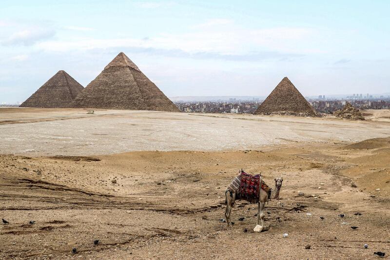 TOPSHOT - A camel waits at an overlook by the (L to R) Great Pyramid of Khufu (Cheops), Pyramid of Khafre (Chephren), and Pyramid of Menkaure (Menkheres) at the Giza pyramids necropolis on the southwestern outskirts of the Egyptian capital on March 13, 2020.   / AFP / Mohamed el-Shahed
