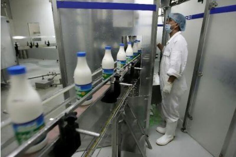 Altogether, the Marmum Dairy Farm produces about 20,000 litres of milk a day.