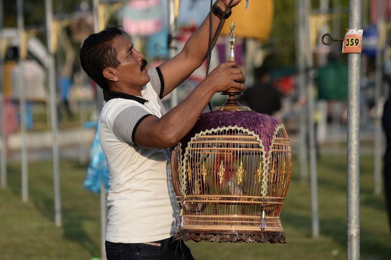 A bird owner from Malaysia hangs his feathered competitor. AFP