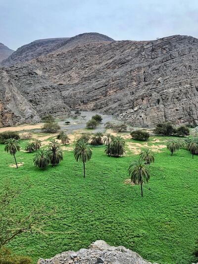 The Hidden Oasis trek heads to a luscious plain in the middle of the mountains. Courtesy Emirates Canyoneering Club