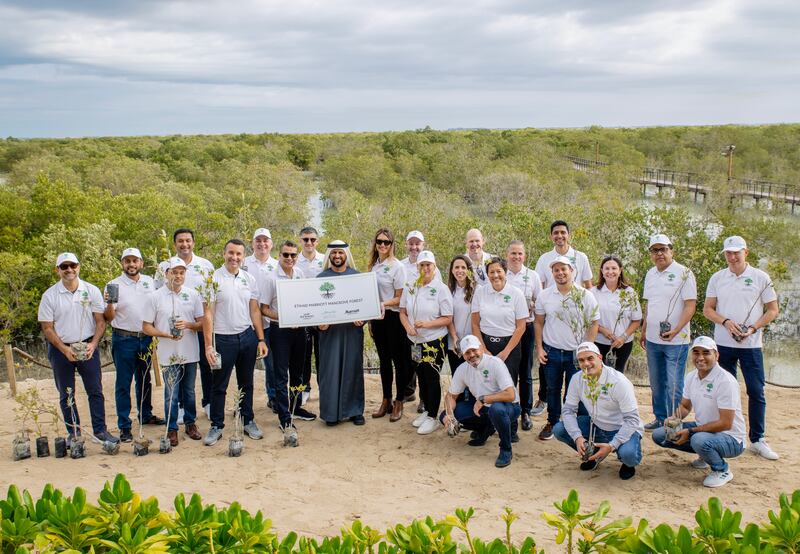 Marriott International planted a mangrove forest of 12,000 trees in partnership with Etihad Airways in Abu Dhabi. Photo: Marriott International