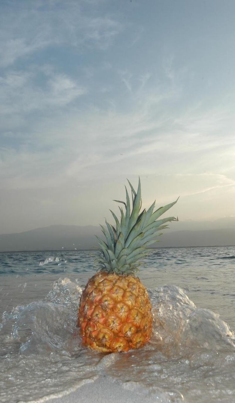 'Escaping Pineapple' (2006) by Peter Dean Rickards. Courtesy The Afflicted Yard