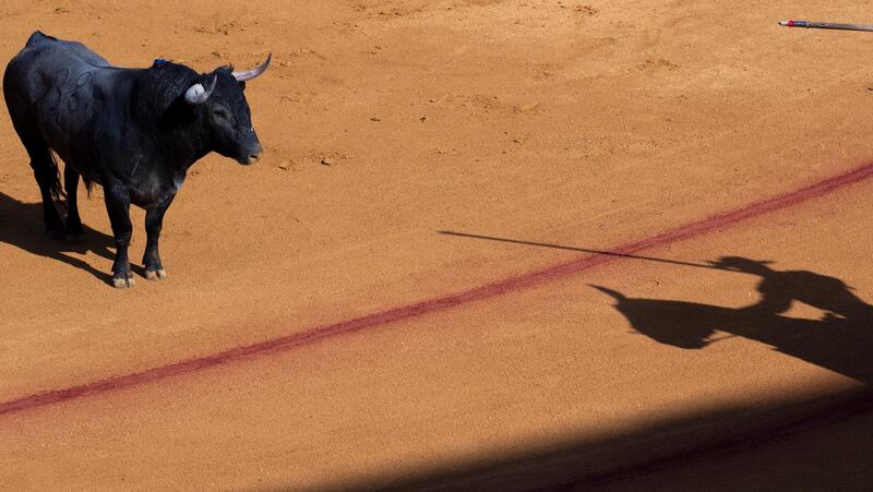 A shadow on the sand shows a Spanish 'picador' lifting his lance to call the fighting bull from Victorino Martin to charge the horse during a bullfight in the Real Maestranza Plaza de Toros in Seville, Spain.  EPA