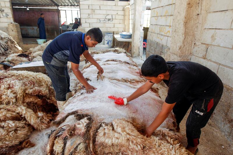 Workers treat sheepskins with salt at a livestock market in Najaf. Reuters