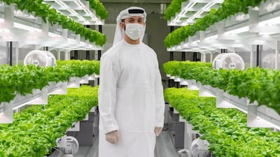 Abdulla Al Kaabi, founder of UAE-based Smart Acres, is helping lead the way to a more sustainable future. Photo: Abdulla Al Kaabi