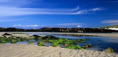 Beach and seaweed, Cliad beach, Island of Col, Inner Hebrides, Scotland. Getty Images