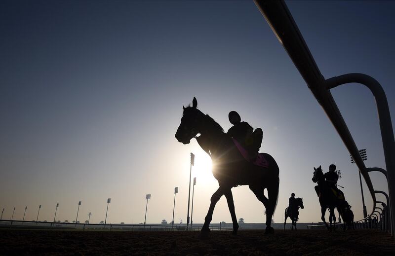 DUBAI, UNITED ARAB EMIRATES - MARCH 29: Mendelssohn during track work day prior to Dubai World Cup 2018 at the Meydan Racecourse on March 29, 2018 in Dubai, United Arab Emirates.  (Photo by Tom Dulat/Getty Images)