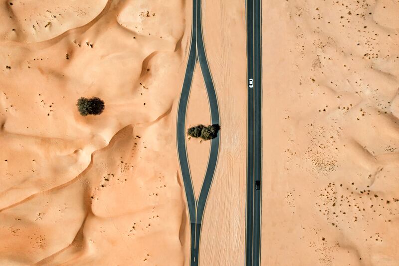 Al Qudra tree road, Al Qudra cycle path, Dubai. Photo: Mohammad Azizi