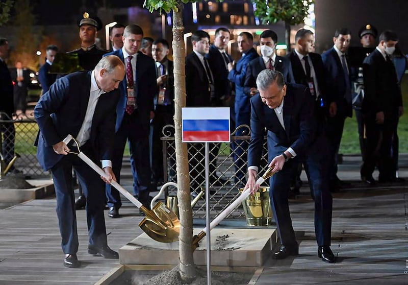 Mr Putin, left, and Mr Mirziyoyev plant a tree during a ceremony. EPA