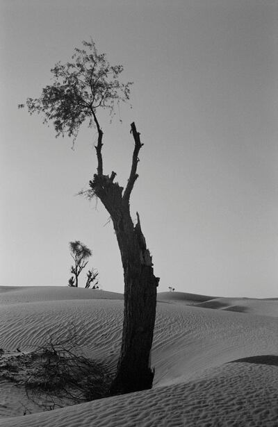 Man Empty Quarter. Courtesy John R. Pepper