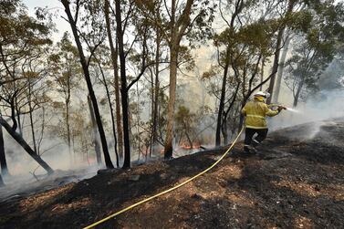 Firefighters tackle a bushfire near Batemans Bay in New South Wales on January 3, 2020. With temperatures expected to rise well above 40 degrees Celsius (104 Fahrenheit) again on January 4, a state of emergency has been declared across much of Australia's heavily populated southeast in an unprecedented months-long bushfire crisis AFP