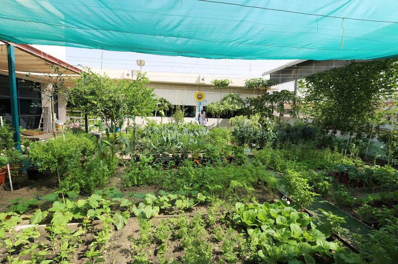 Organic farm in Dubai jail, March 2021. Courtesy Dubai Police