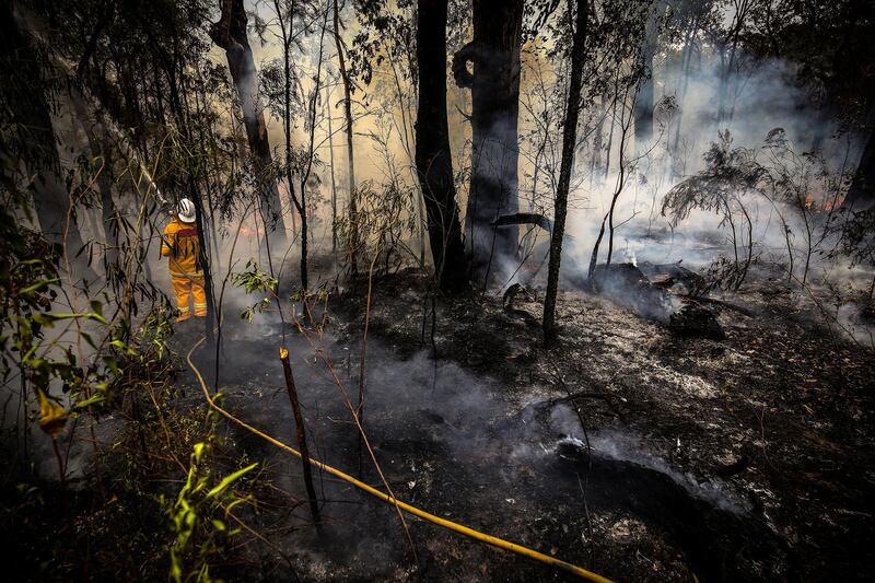 A New South Wales (NSW) Rural Fire Service volunteer douses a fire during back-burning operations in bushland near the town of Kulnura, New South Wales, Australia. Bloomberg