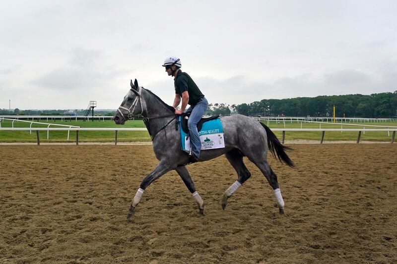 Essential Quality trains ahead of the 153rd running of the Belmont Stakes horse race in Elmont, N.Y., Thursday, June 3, 2021. (AP Photo/Seth Wenig)