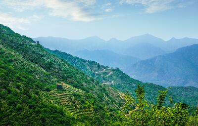 The lush Jazan region in Saudi Arabia. The kingdom has plenty to offer tourists, from mountains and desert dunes to marine adventures and city escapes. Photo: Saudi Tourism Authority / Shutterstock