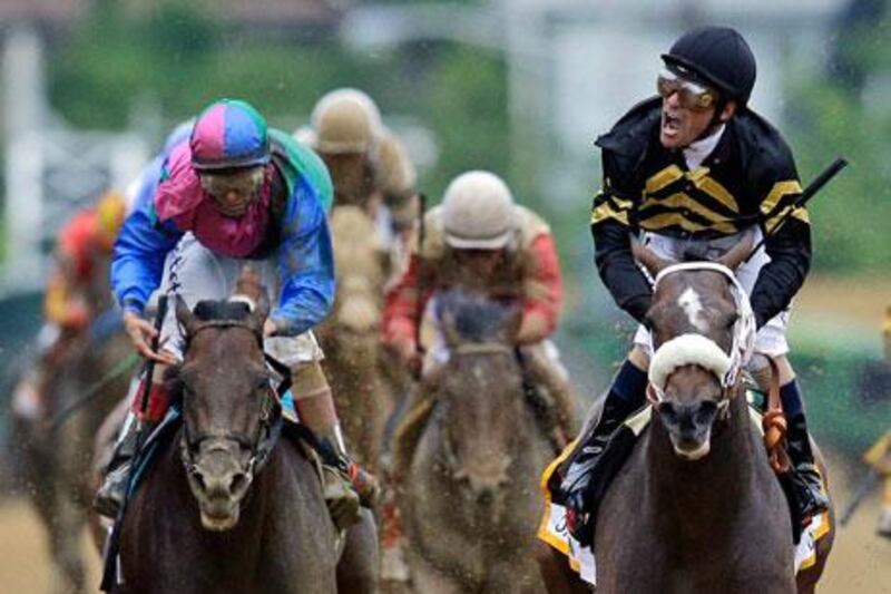 Gary Stevens, the jockey, celebrates aboard Oxbow after winning the Preakness Stakes at Pimlico Race Course. Orb, the Kentucky Derby winner, trails at centre and finished fourth. Patrick Semansky / AP Photo