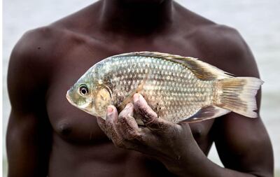 Close-up of a young boy forced to work in Ghana’s Lake Volta. Photo by Lisa Kristine