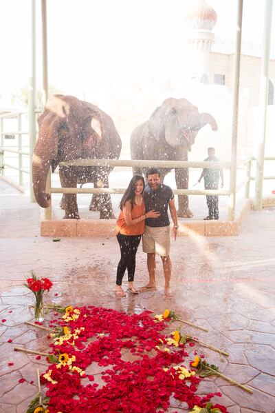 Asif and Minal's engagement at Al Ain Zoo was a throwback to their first date. Photo: Proposal Boutique