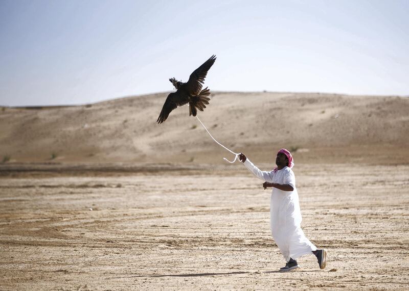 DUBAI, UNITED ARAB EMIRATES. 8 JANUARY 2020. 
Hamdan Bin Mohammed Heritage Center’s Fazza Championship for Falconry - Telwah.
(Photo: Reem Mohammed/The National)

Reporter:
Section: