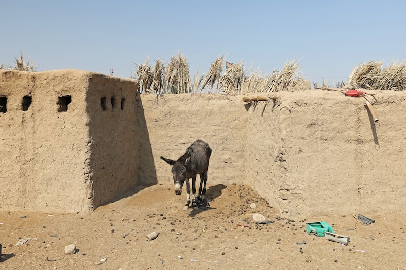 Part of the Fertile Crescent, an arc sweeping from the Mediterranean to the Arabian Gulf where farming developed more than 10,000 years ago, Iraq has been devastated by a triple blow of lower rainfall, decades of conflict and less water flowing through the Tigris and Euphrates