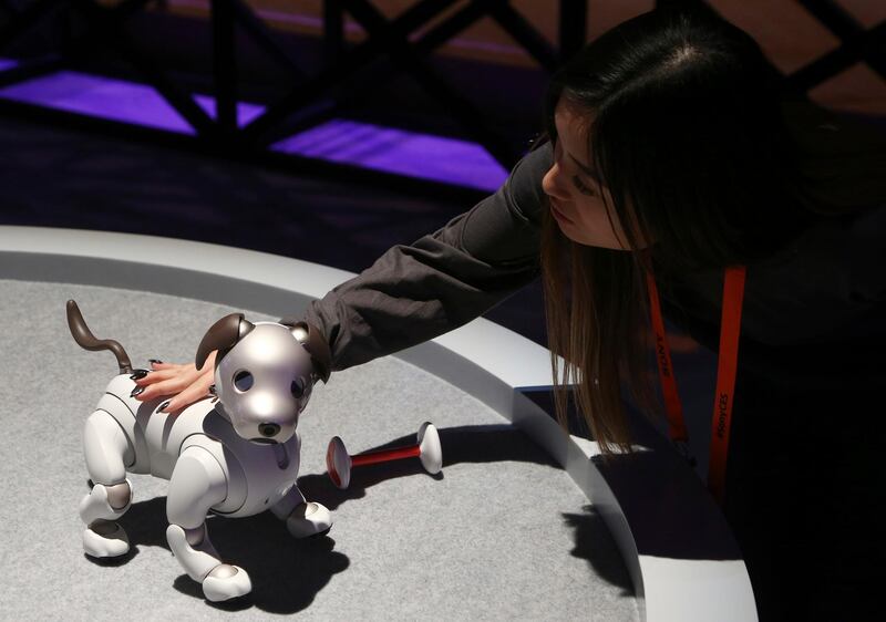 The new edition Sony Aibo robot dog incorporates a series of sensors, cameras, and actuators to activate the pup and keep it interactive, as seen inside the Sony display area. AP Photo