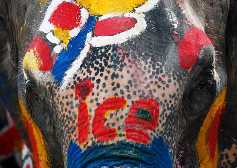 A painted elephant during a preview of the Songkran Festival celebration, also known as the Water Festival, in the city of Ayutthaya, Thailand.  EPA