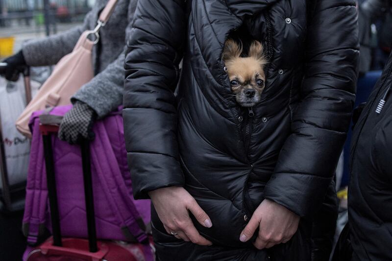A refugee holds her dog as they queue for trains to Poland in Lviv, after the Russian invasion of Ukraine. Reuters