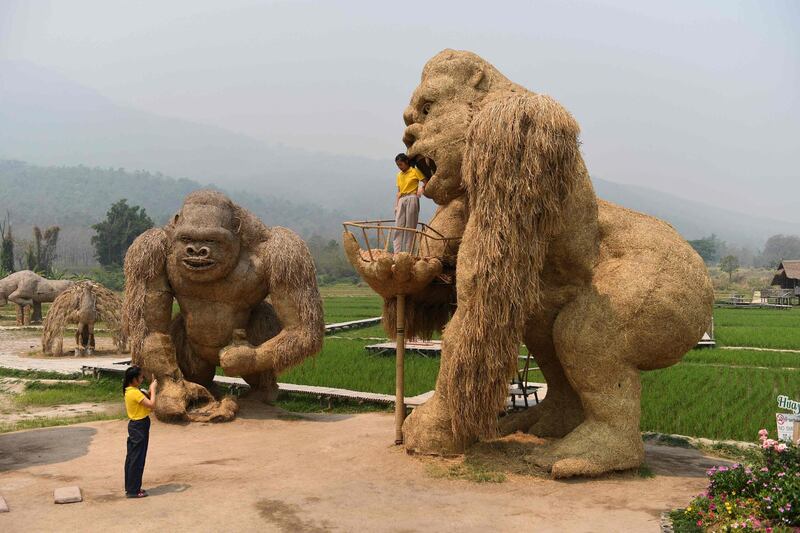 A student has her picture taken with a King Kong sculpture made out of straw in the northern Thai province of Chiang Mai. AFP