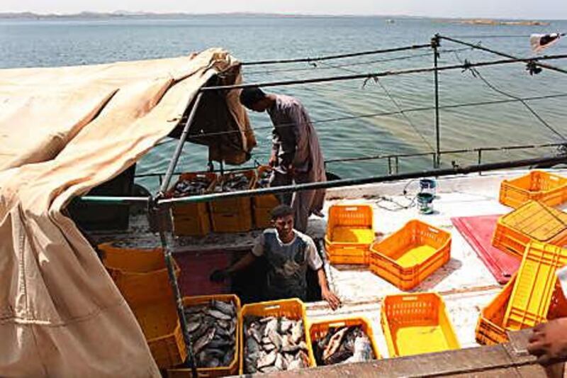 Fishermen have wrestled for decades with a number of unsuccessful policies to manage fishing on Lake Nasser.