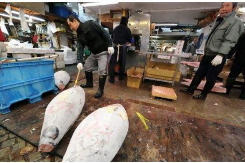 A wholesaler prepares tuna for customers at Tokyo's Tsukiji market, which has been hit hard by the effects of the earthquake and tsunami. Kennedy Brown / EPA