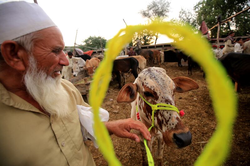 During Eid Al Adha, Muslims slaughter an animal divide the meat for family, friends and the poor and needy. EPA 